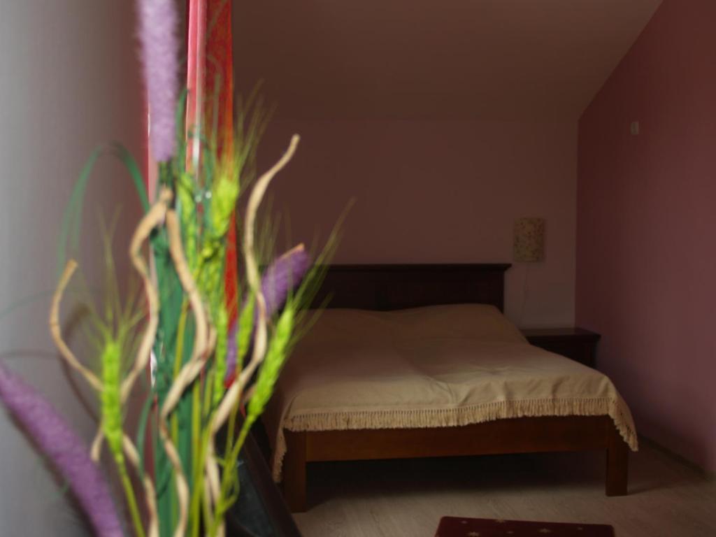 Vila Veche Hateg Room photo